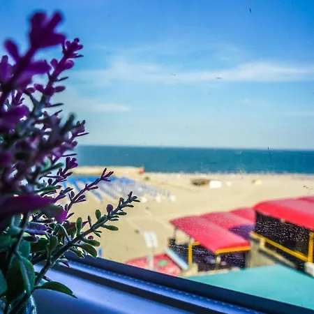 Gladiola ゲストハウス エフォリエ・ノルド