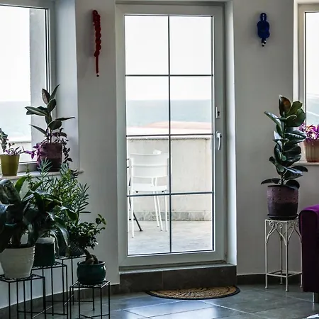 Gladiola Guest house 4*